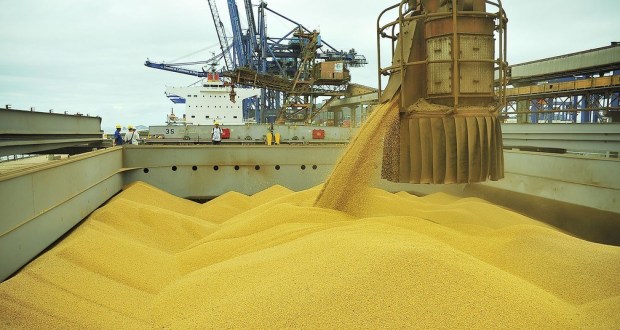 Pela 1ª vez em 40 anos, Brasil exporta mais produtos básicos do que industrializados