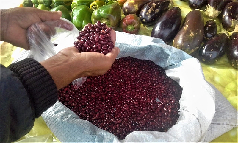 Acampamentos do MST doam 5 toneladas de alimentos no Paraná